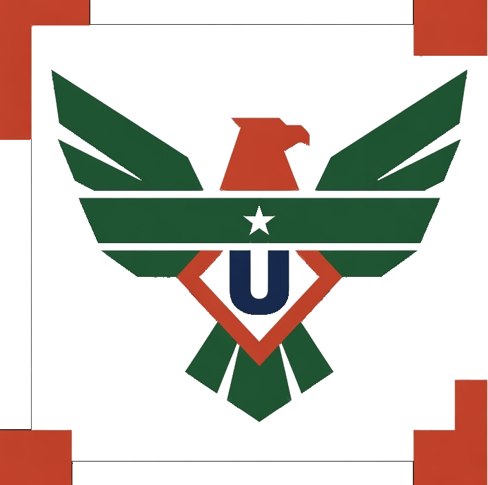 USA RARE logo by Grok Imagine mark icon